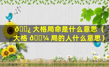 🌿 大格局命是什么意思（大格 🌼 局的人什么意思）